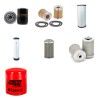 Filter Kit for Daewoo / Doosan G30S3  with HERCULES Engine