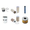 LINDE H 35 D Filter Service Kit w/Perkins Eng.