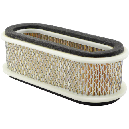 Baldwin PA5619 Air Filter