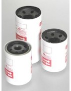 Fuel dispenser filter